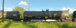 XCRX 701799